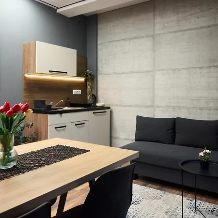 Downtown Boutique Hotel apartamentowy Nowy Sad